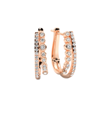 Picture for category Earrings